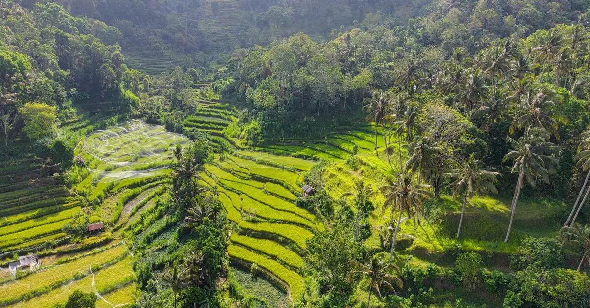 Bali en février
