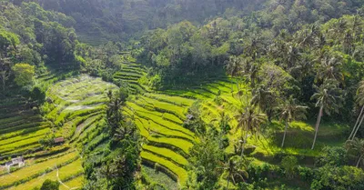 Bali